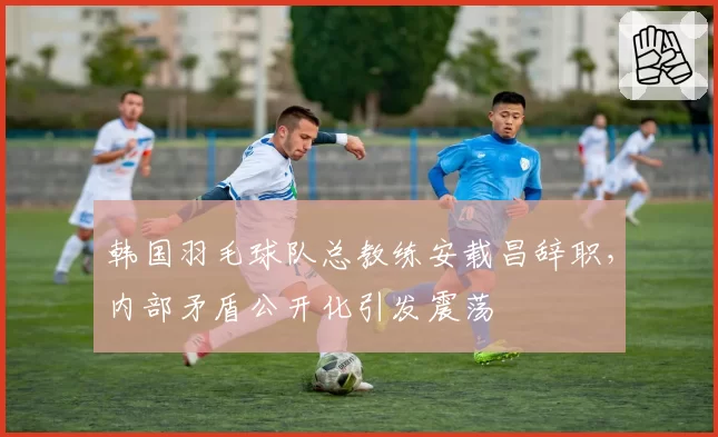 韩国羽毛球队总教练安载昌辞职,内部矛盾公开化引发震荡